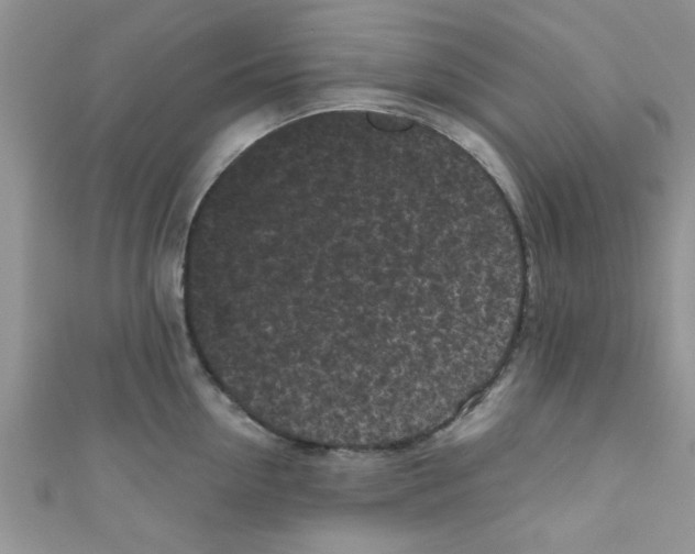 X0000111010954200907171832