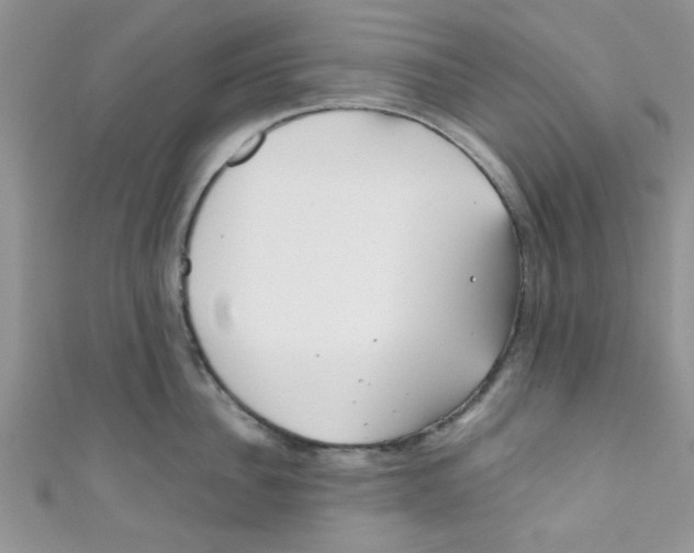 X0000111010956200907171832