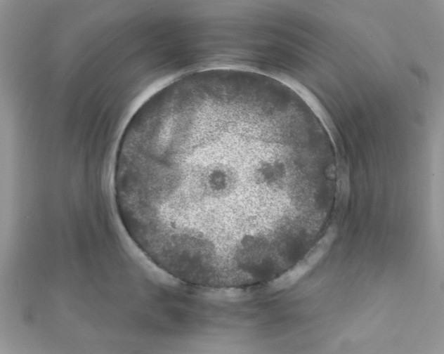 X0000111010957200907171832