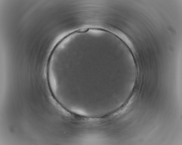 X0000111010958200907171832