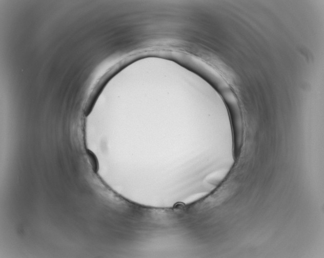 X0000111010960200907171832