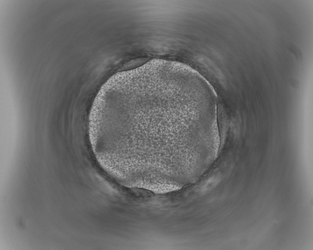 X0000111010961200907171831