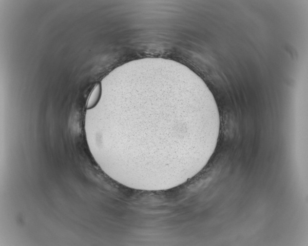 X0000111010962200907171831