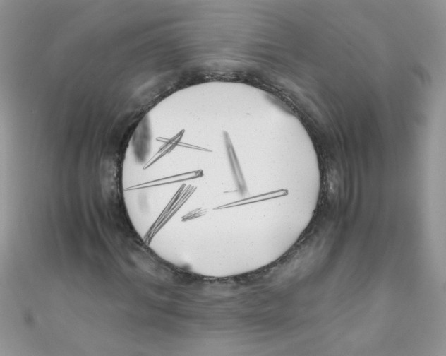 X0000111010964200907171831