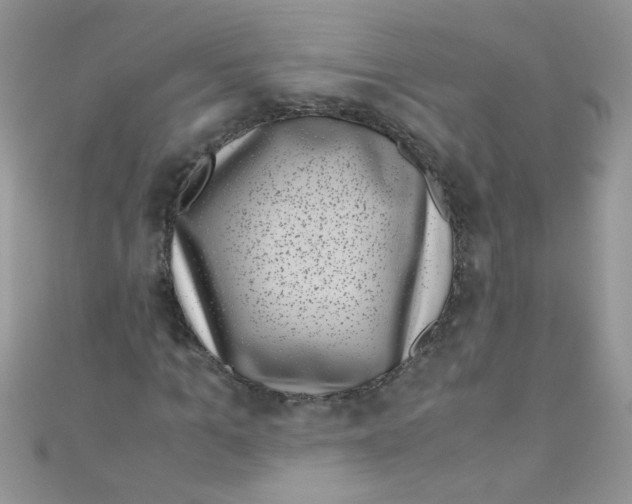 X0000111010965200907171831
