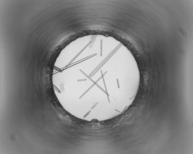 X0000111010968200907171831