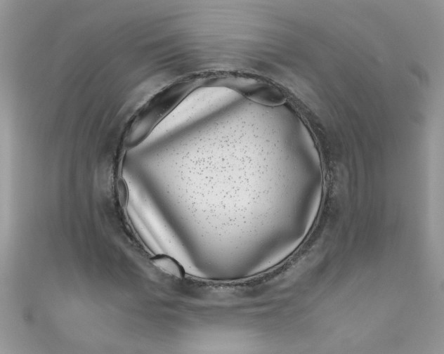 X0000111010969200907171831