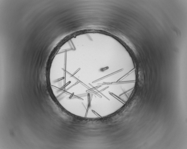 X0000111010972200907171831