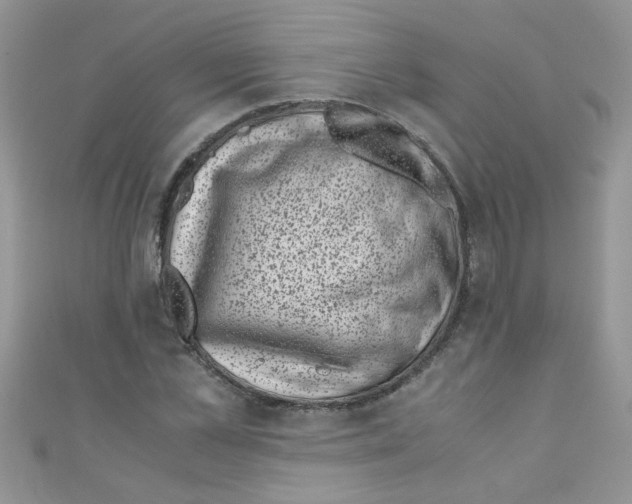 X0000111010973200907171831