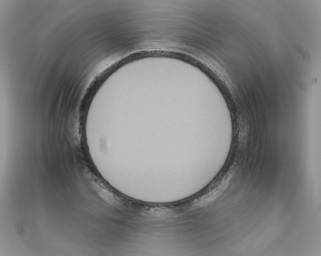 X0000111010974200907171831