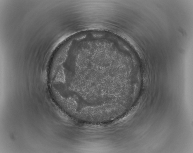 X0000111010975200907171831