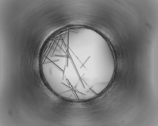 X0000111010976200907171831