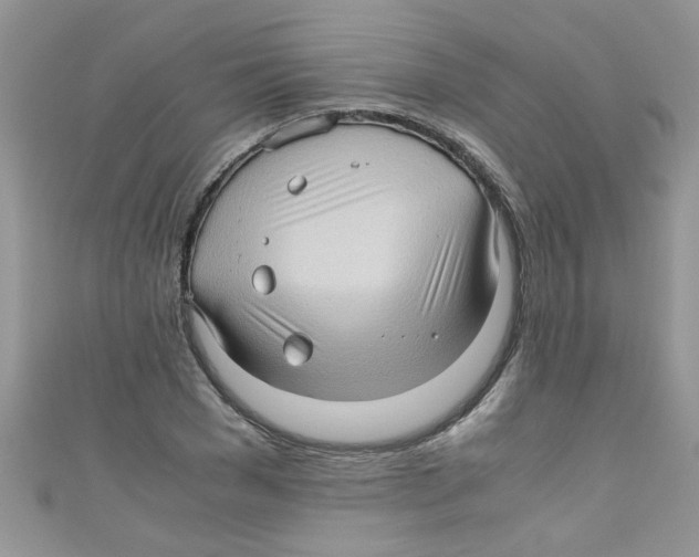 X0000111010977200907171831