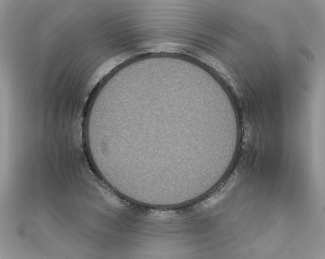 X0000111010978200907171831
