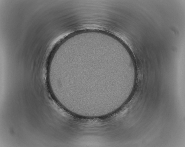 X0000111010979200907171831