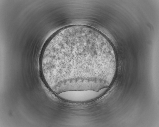 X0000111010980200907171831