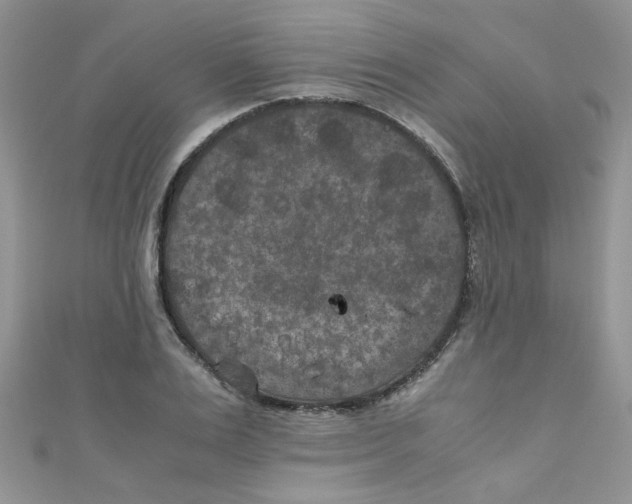 X0000111010983200907171831