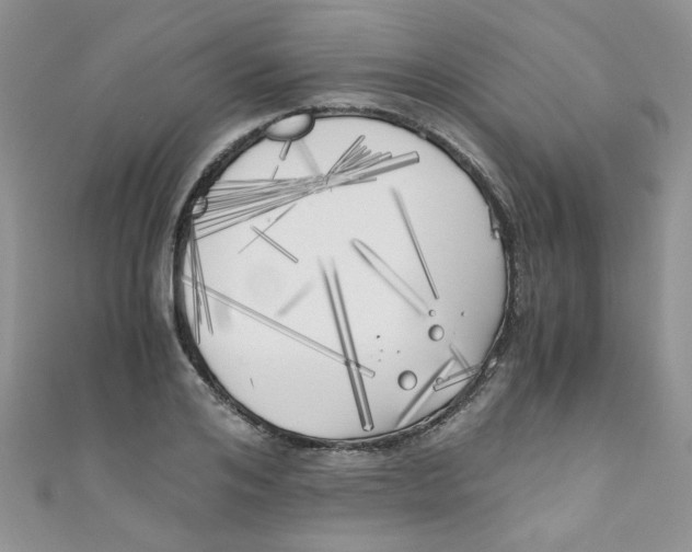 X0000111010984200907171831