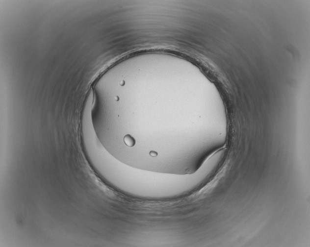 X0000111010985200907171831