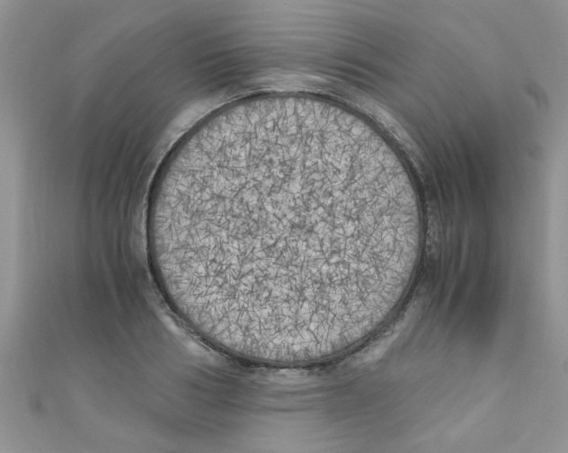 X0000111010986200907171831