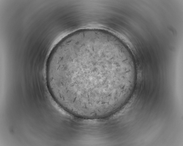 X0000111010990200907171831