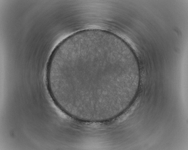 X0000111010991200907171831
