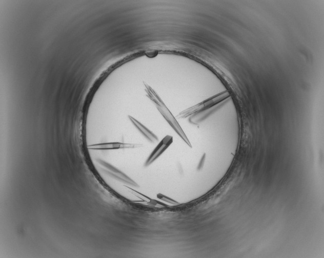 X0000111010992200907171831