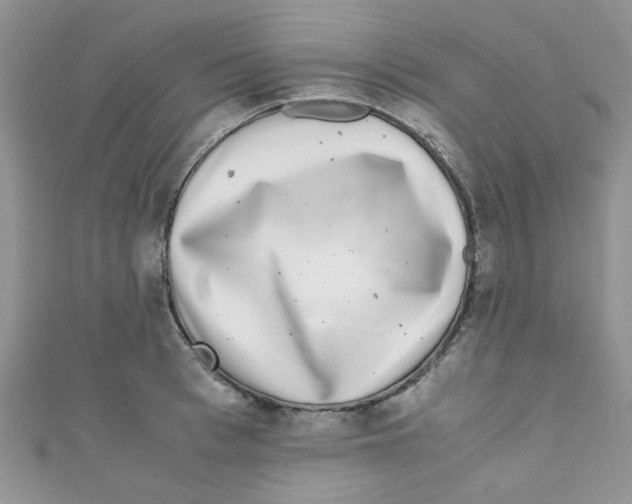 X0000111010993200907171831