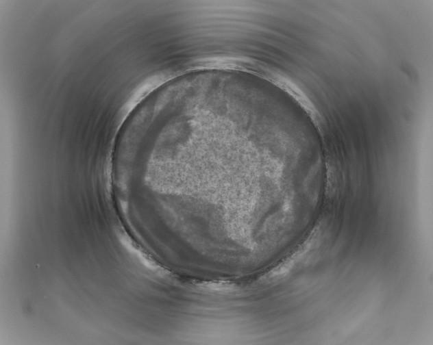 X0000111010994200907171831
