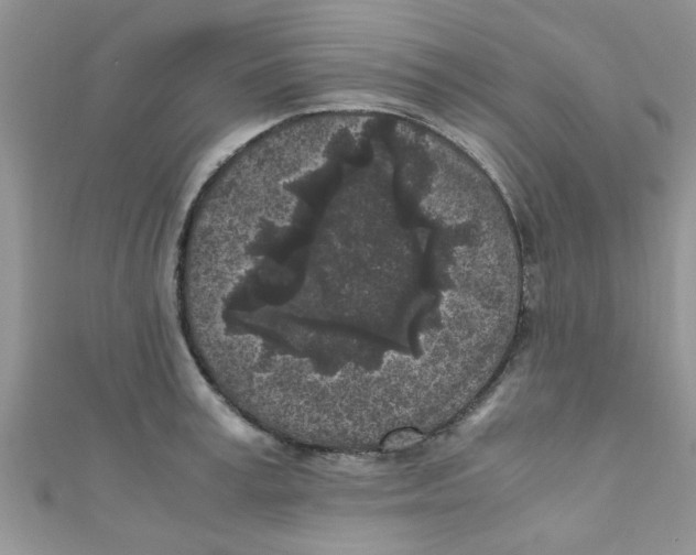 X0000111010995200907171831