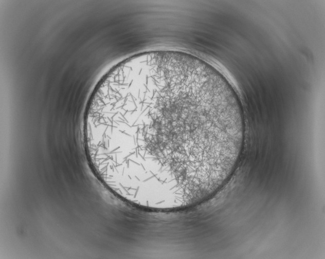 X0000111010996200907171831