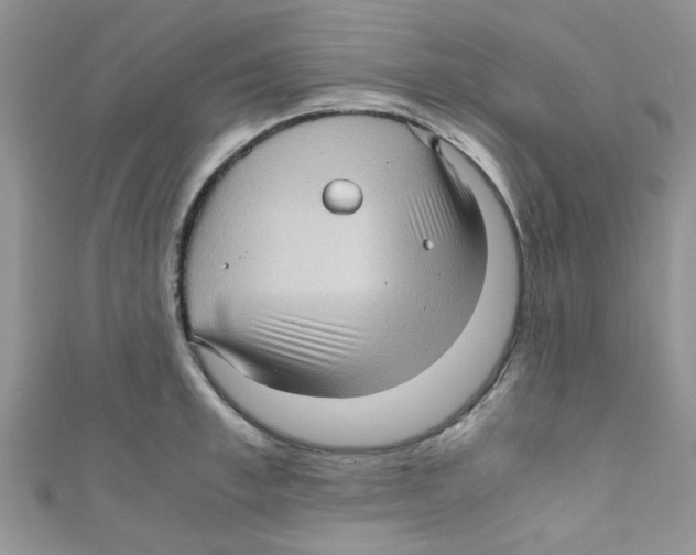 X0000111010997200907171831