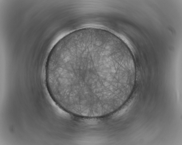 X0000111010999200907171831