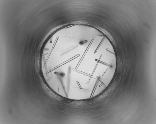 X0000111011000200907171831