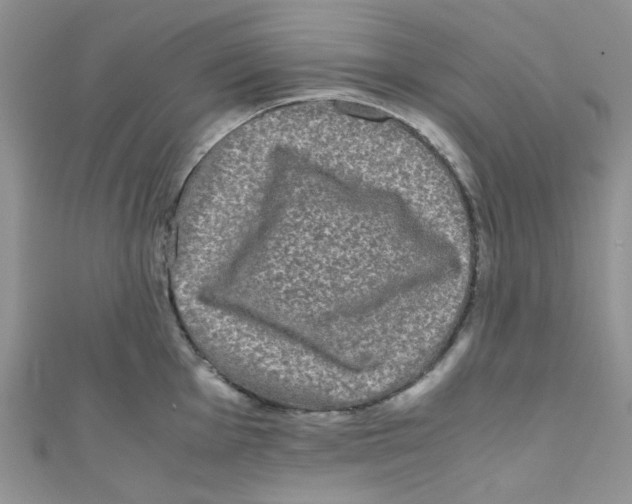 X0000111011001200907171831