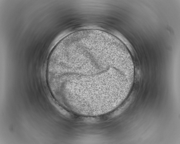 X0000111011002200907171831