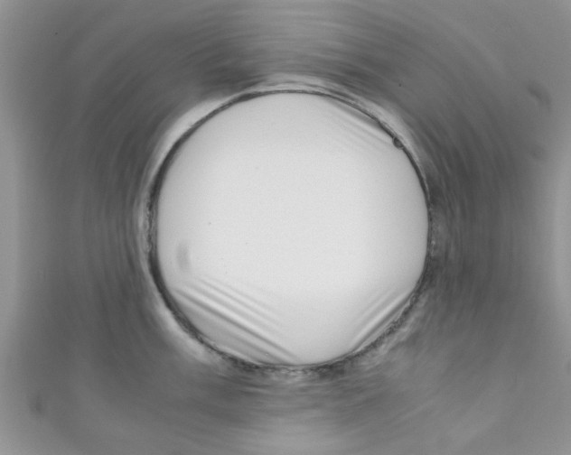 X0000111011003200907171831