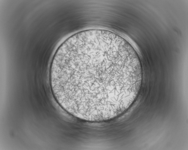 X0000111011004200907171830