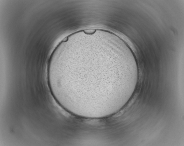 X0000111011006200907171830
