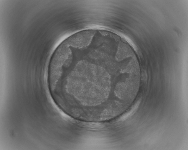 X0000111011007200907171830