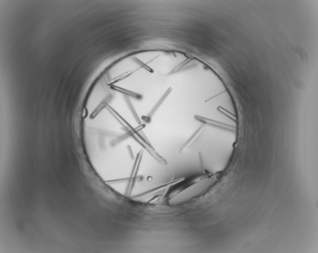 X0000111011008200907171830