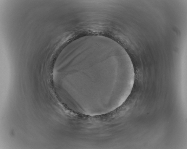 X0000111011009200907171830