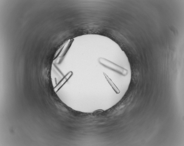 X0000111011010200907171830