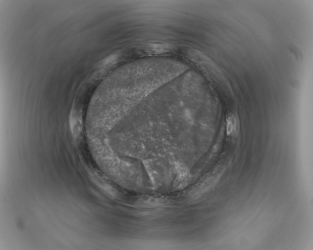 X0000111011011200907171830