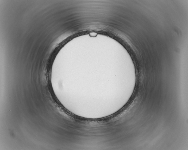 X0000111011018200907171830