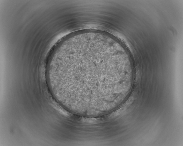 X0000111011019200907171830