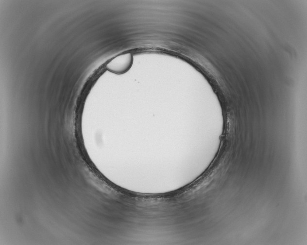 X0000111011020200907171830