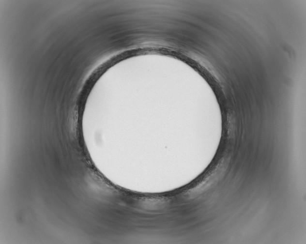X0000111011021200907171830