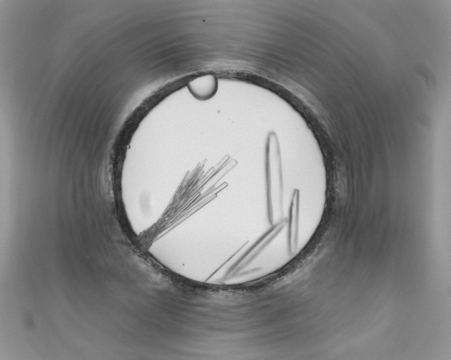 X0000111011022200907171830