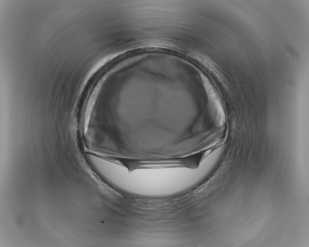 X0000111011024200907171830